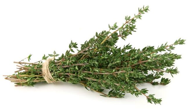 мајчина душица за зголемување на пенисот